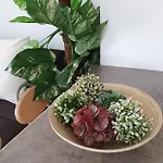 Apartmán Harmony