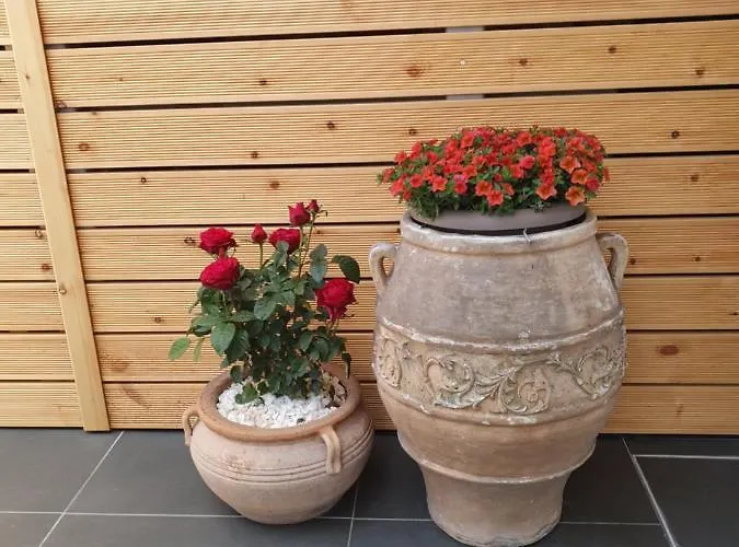 Apartament Harmony