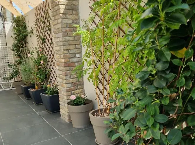 Apartament Harmony