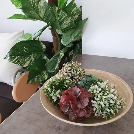 Apartment Harmony