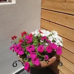 Harmony Κάβος