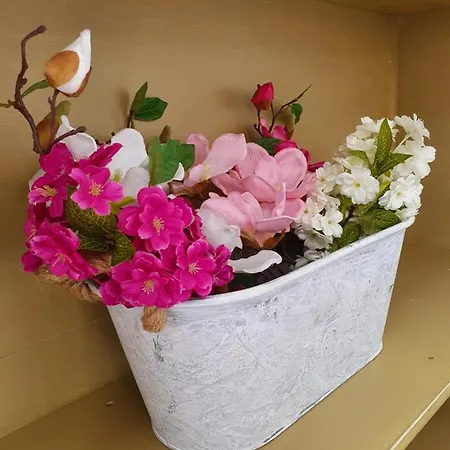 Appartamento Harmony *